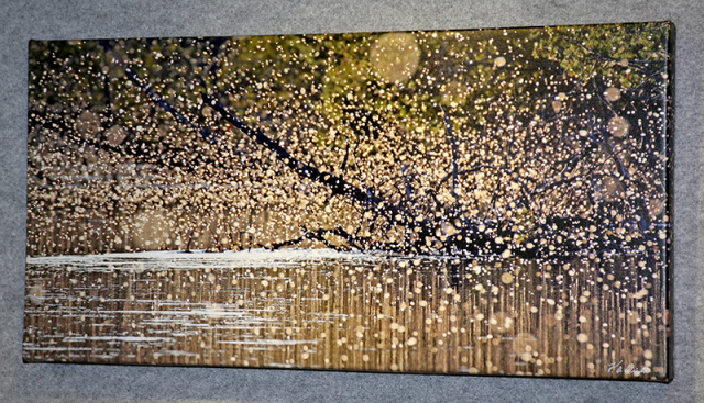 AuSable River Fly Hatch - 32" x 16" x 1.5"